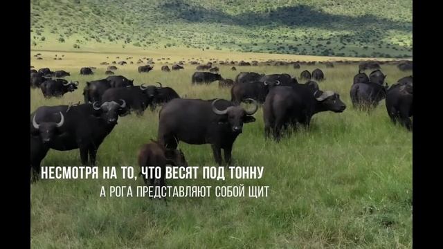 1 марта 2020 г. смотреть онлайн