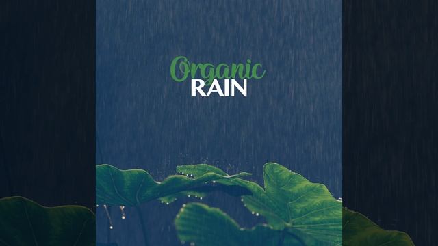 The Rain Never Stopped смотреть онлайн