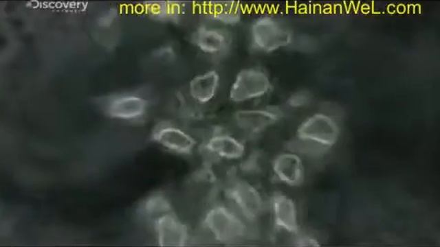 Panspermia Hypothesis Гипотеза панспермии