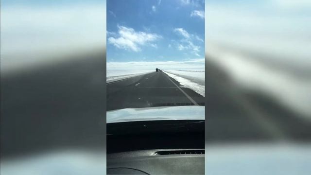 Узбекистонга йул Козогистон трассасида запарожец смотреть онлайн