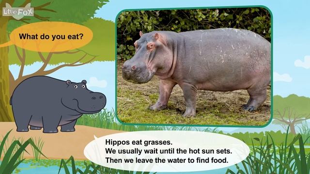 Meet the Animals 28_ Hippopotamus _ Level 2 _ By Little Fox смотреть онлайн