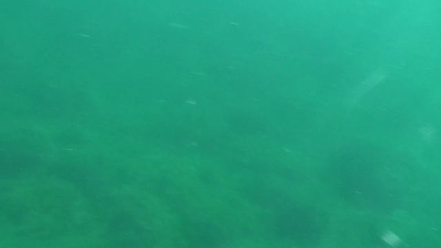 00013 смотреть онлайн