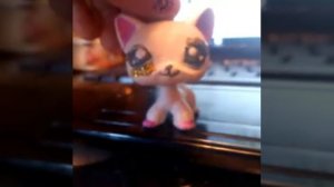 Песня это я лучше всех