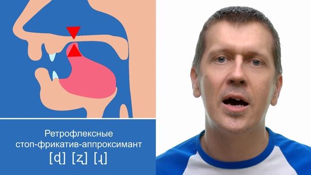 Таблица согласных звуков МФА - IPA Consonant Chart