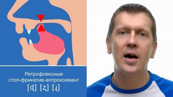 Таблица согласных звуков МФА - IPA consonant chart