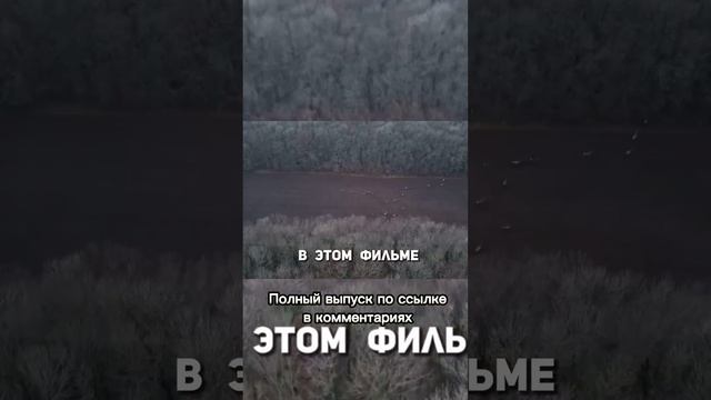 Охота в Белгородской области