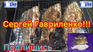 Караси на мангале/ Три разных маринада/ Картофель в фольге и запеченные овощи на углях.
