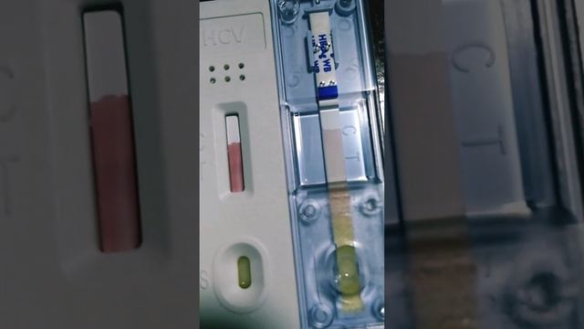 HBsAg & Anti HCV device test|rapid|chromatography|hepatitus b c|viral|test you own|lft|virus|yarqaa смотреть онлайн