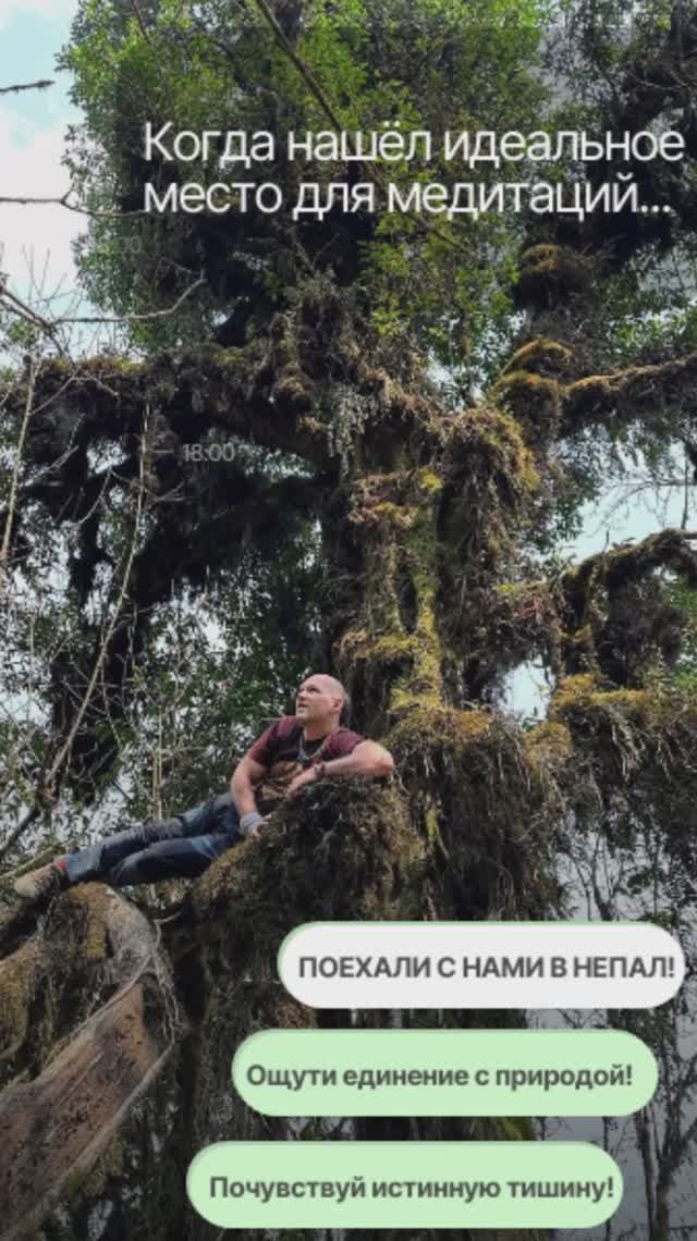 Медитации и игра на варгане на древнейшем дереве в Непале #Непал #медитация #природа #путешествия смотреть онлайн