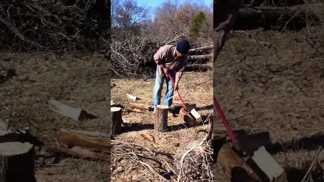 Spliting Wood смотреть онлайн