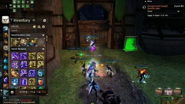 Guild Wars 2 2024 07 17 took dg and ql back wipe green tag mark good fun o/ смотреть онлайн