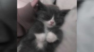 Плейлист песни из Тик тока (speed up)