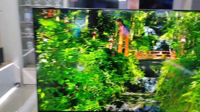 CUMA 4 JUTAAN ANDROID TV 50 INCH || CHANGHONG U50H7 смотреть онлайн