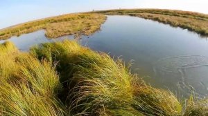 крайняя рыбалка этого года. кастинговая сеть 25-ка..mp4