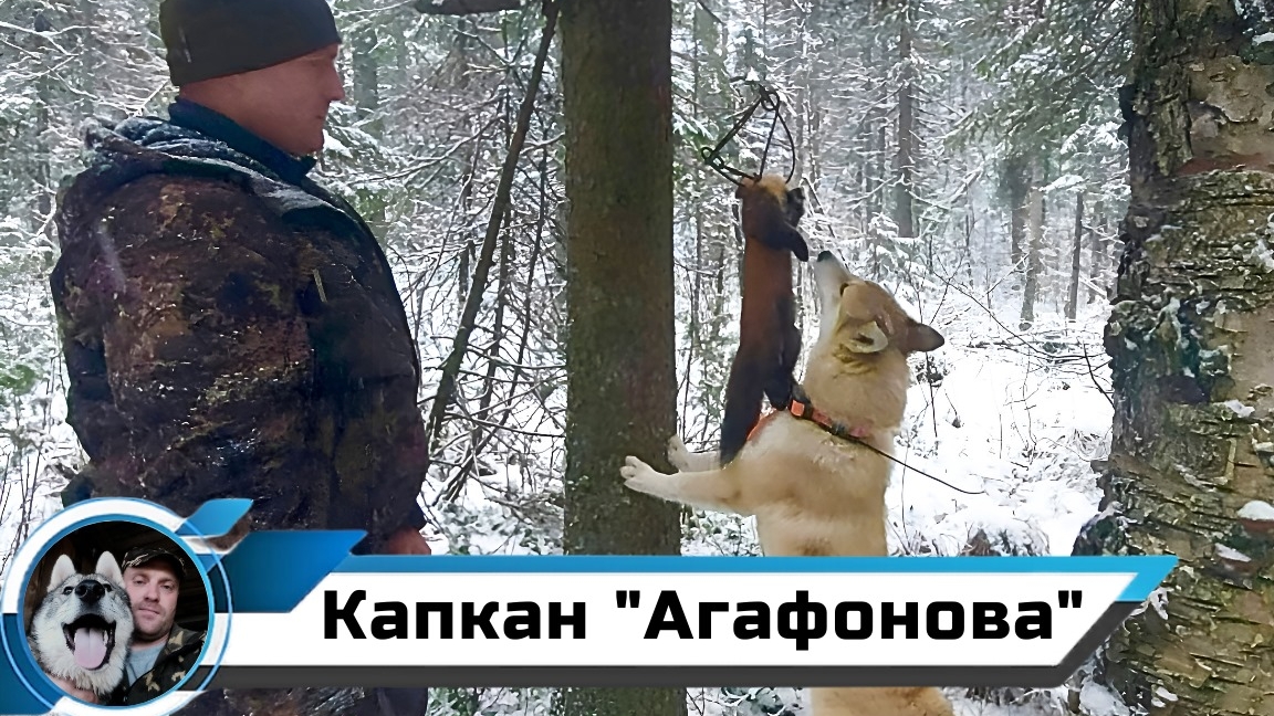 УДАЧНАЯ ПРОВЕРКА КАПКАНОВ НА КУНИЦУ/КАПКАН "АГАФОНОВА" СНОВА В ДЕЛЕ! смотреть онлайн