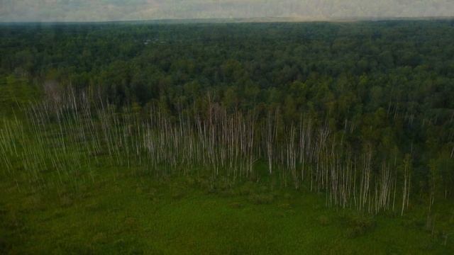 УГЛИЧСКИЕ БОЛОТА 4K | DJI MINI 2 смотреть онлайн