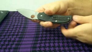 Мысли о ноже: Spyderco Sage