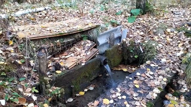 Октябрь 2022 в Родовом поместье Ве Лес на Урале смотреть онлайн