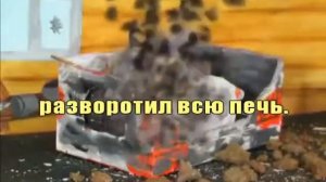 4 таракана и сверчок