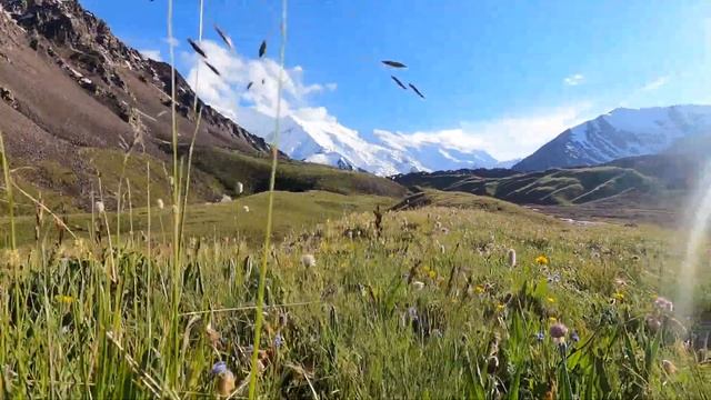 Горный поход по Северо-Восточному Памиру, группа Ильи Овчинникова