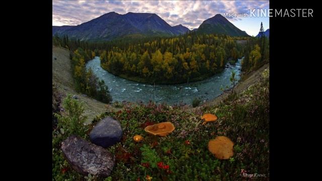 Ман меравам лаб лаби об микс мп3 смотреть онлайн