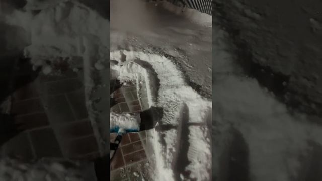 Лопата для уборки снега Bort BSF-30 аккумуляторная