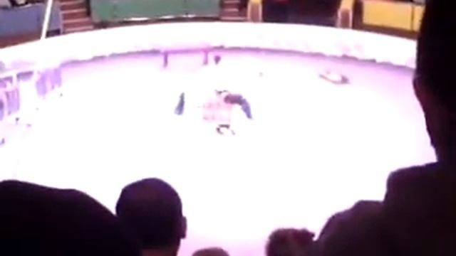 Львівський Цирк 2 смотреть онлайн