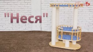 Процесс сборки комплекса «Неся»