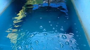 Лечение бактериалки у стерляди.