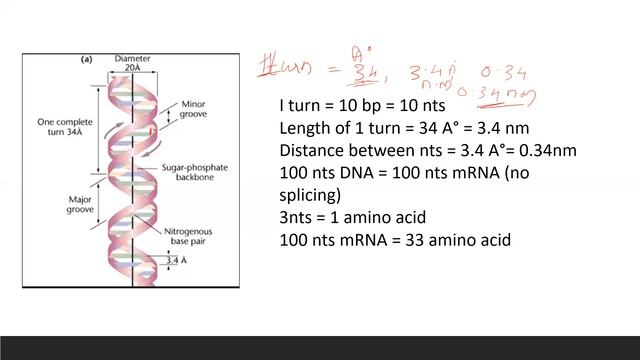 #CSIR NET LIFESCIENCE#Composition, structure and function of biomolecules #amino acid 1#CSIR NET смотреть онлайн