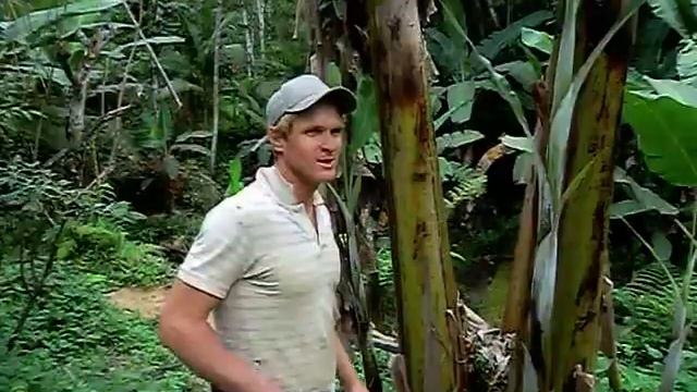 Agroforstwirtschaft in Brasilien: Bananenpflanze [Schweizerdeutsch] смотреть онлайн