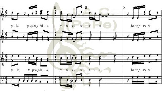 CORAZÓN CORAZA -Coro de Cámara Exaudi (Cuba) смотреть онлайн