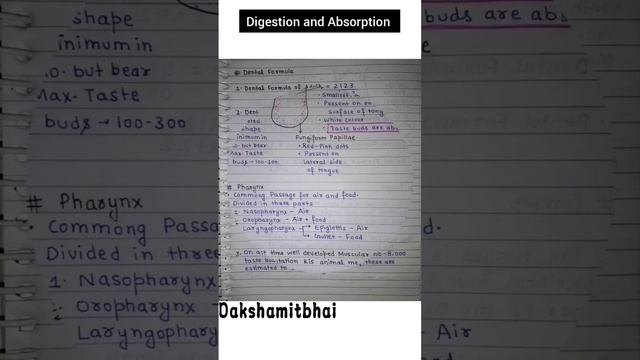 B pharm 2nd semester unit 2 digestive system #medicalstudent @dakshamitbhai1806 смотреть онлайн