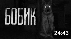 Бобик.....  Страшные истории на ночь.