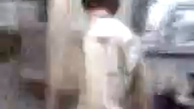 2 обезьяны 2 смотреть онлайн