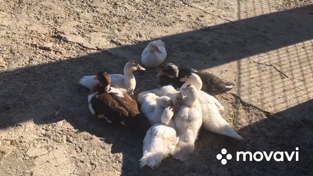 А на улице классно по осеннему ! смотреть онлайн