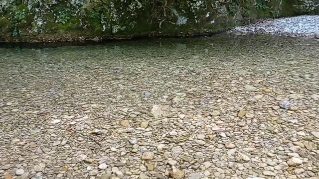 К ванне молодости. Большой каньон. 23.06.24. смотреть онлайн