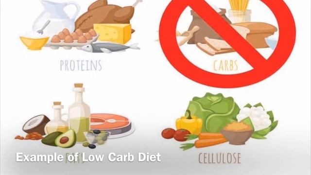 Fad diets смотреть онлайн