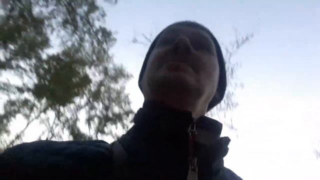 буду грысть шоколад как белка смотреть онлайн