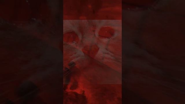 ОПЫТНЫЙ СТАЛКЕР | ПОЛНОЕ ВИДЕО УЖЕ НА КАНАЛЕ смотреть онлайн