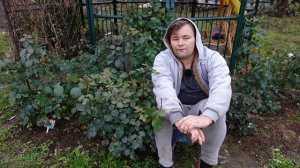 ПОЧЕМУ Я НЕ#ОБРЕЗАЮ И НЕ#УКРЫВАЮ#РОЗЫ.ВСЯ ПРАВДА ПРО САДОВЫЕ РОЗЫ ОТ ПОСАДКИ ДО ПОДГОТОВКИ К ЗИМЕ!!!