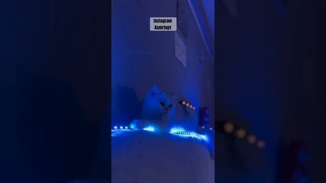 Зимние триггеры смотреть онлайн