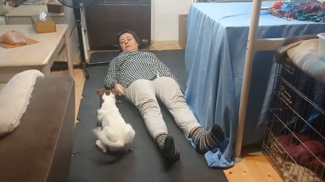 Aktivní Advent S ABSkou - 6. úkol - Povely V Leže