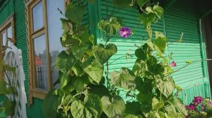 Первый солнечный день в августе. 6 соток 2019 год