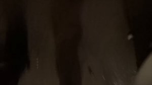 На СТО не смогли! Датсун Он-До трясёт на ХХ. Любительская диагностика.