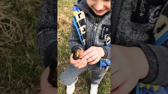Ребята , смотрите что я словил ! смотреть онлайн