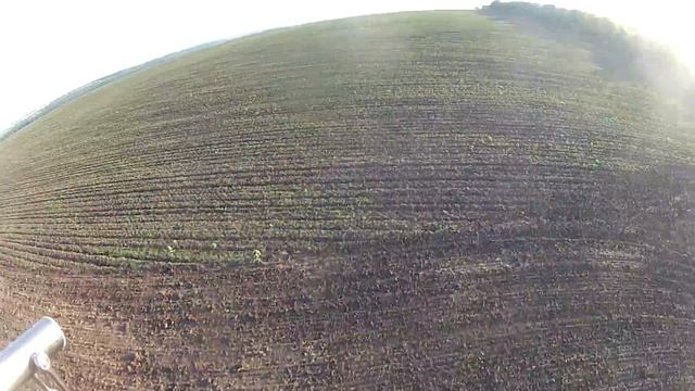 GOPR1304 смотреть онлайн