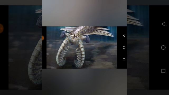 Anomalocaris(аномалокарис)