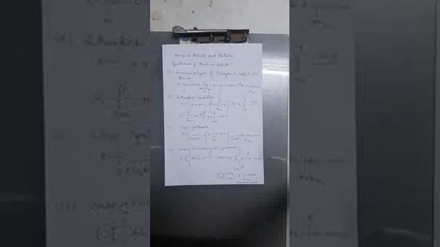 Amino acids and proteins Dr. Mamata Tiwari B.sc Hons part III смотреть онлайн