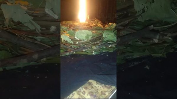 ✨Избавление от любых заболеваний✨Возврат здоровья, молодости, красоты☀️